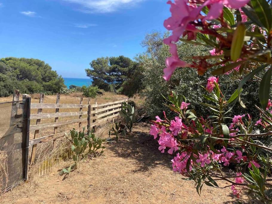 Villa Ificumori, Campagna Ammare Marina di Modica Exterior foto